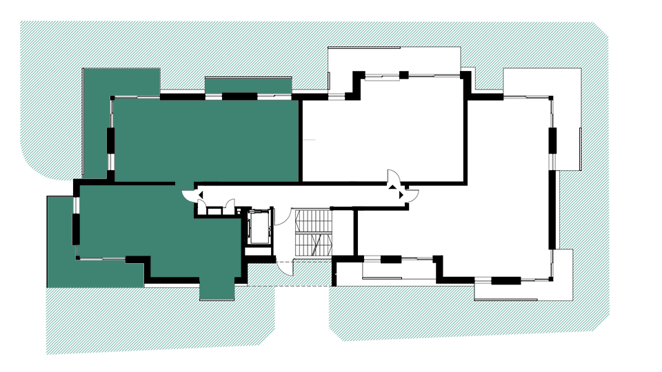 rzut